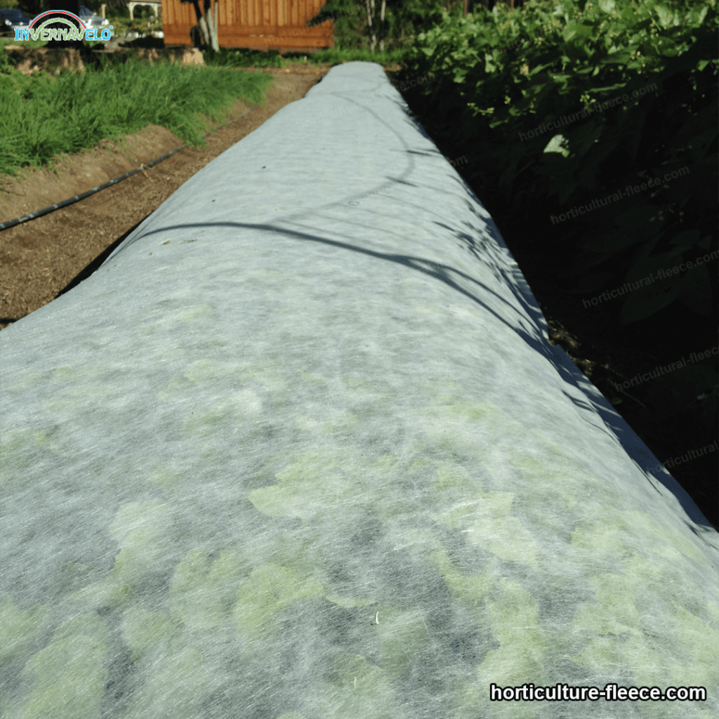 horticultural cloth installed in a small garden